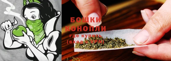 дживик Зеленодольск