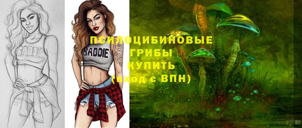 дживик Зеленодольск