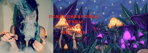 jwh Зерноград